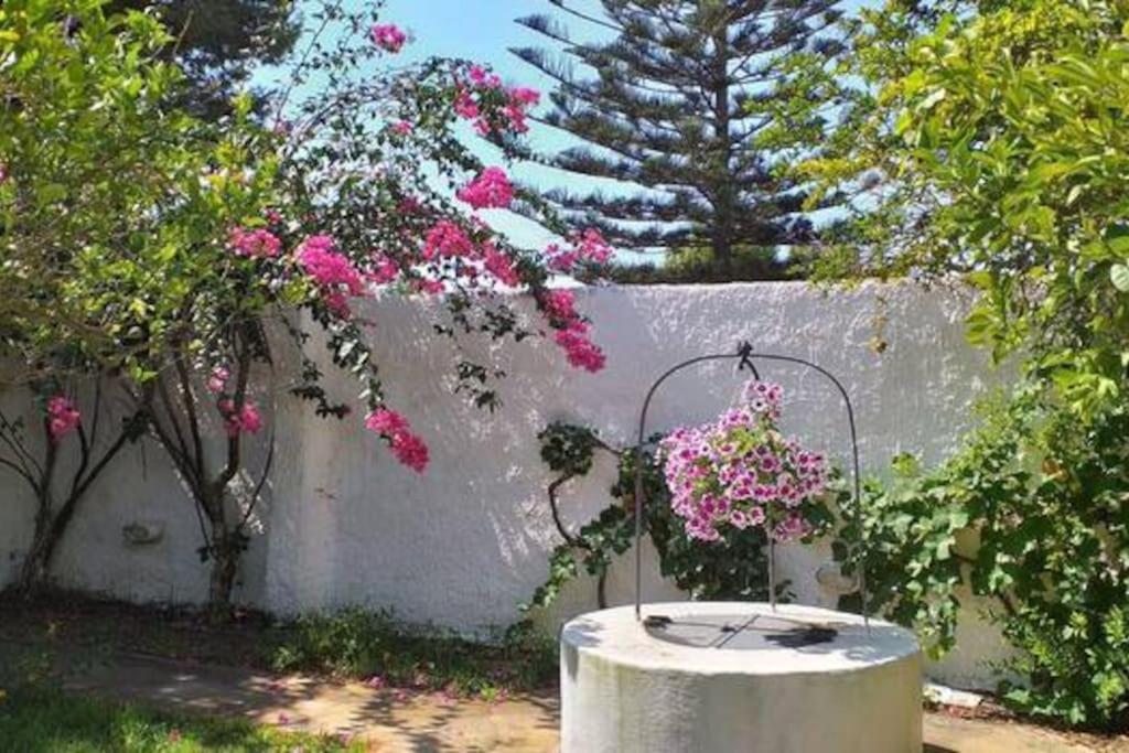 Villa Mozia Riserva Dello Stagnone Marsala Exterior foto
